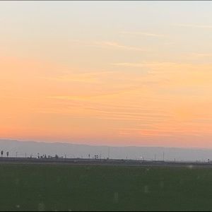 Meet your Posher, Rylee